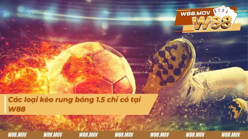 Các loại kèo rung 1.5 chỉ có tại nhà cái