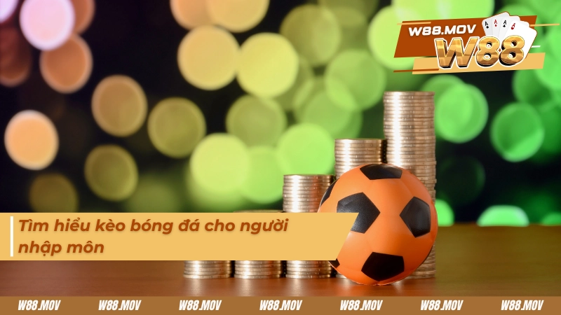 Giới thiệu sơ qua về các loại kèo bóng đá