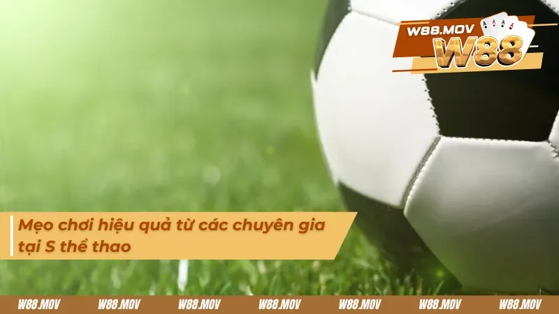 Kinh nghiệm từ các chuyên gia khi đặt cược tại sảnh S